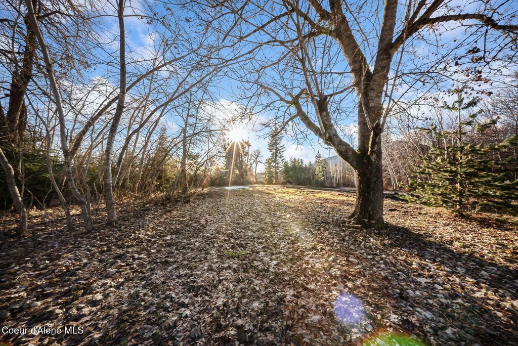 477545 US-95, Ponderay, ID 83852 photo 23