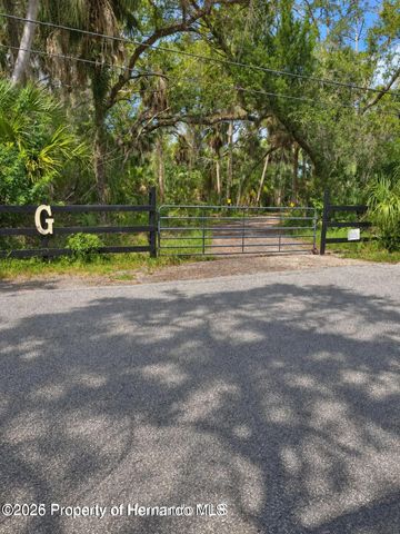 3217 Shine Lane, Spring Hill, FL 34607