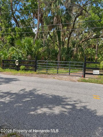 3217 Shine Lane, Spring Hill, FL 34607