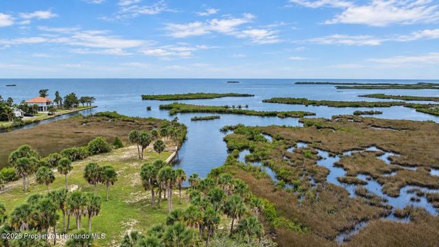 3217 Shine Lane, Spring Hill, FL 34607