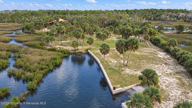 3217 Shine Lane, Spring Hill, FL 34607