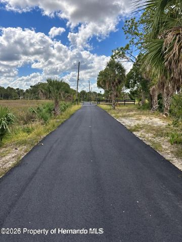 3217 Shine Lane, Spring Hill, FL 34607
