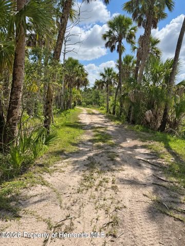 3217 Shine Lane, Spring Hill, FL 34607