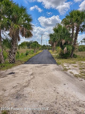 3217 Shine Lane, Spring Hill, FL 34607