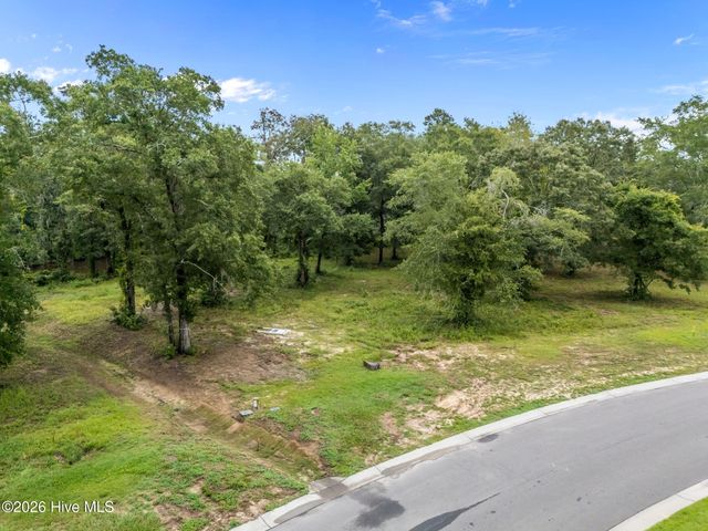 9140 Fallen Pear Lane NE, Leland, NC 28451