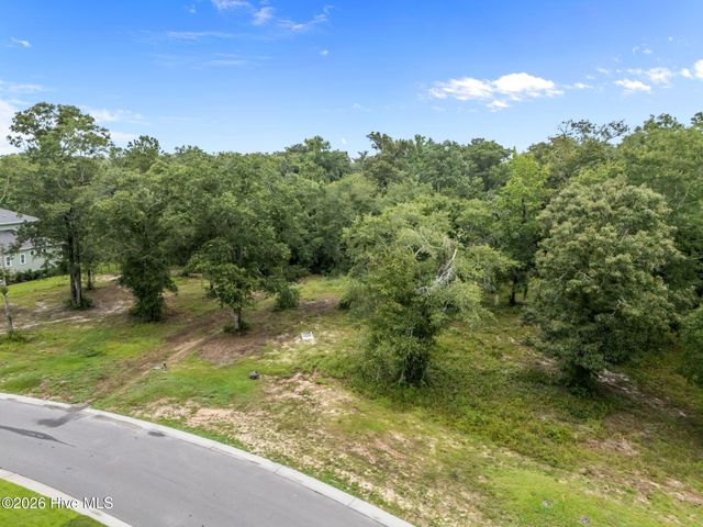 9140 Fallen Pear Lane NE, Leland, NC 28451