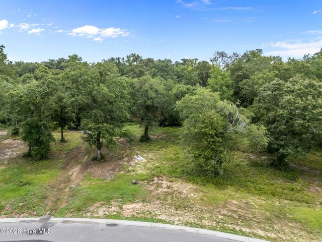 9140 Fallen Pear Lane NE, Leland, NC 28451
