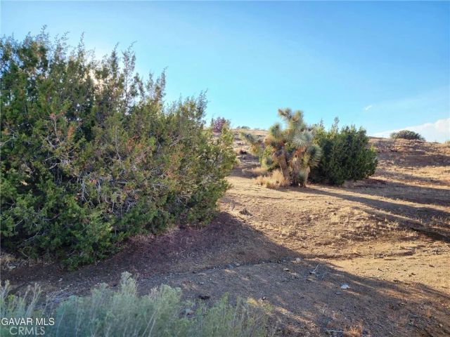 75 W Avenue D-12, Antelope Acres, CA 93536
