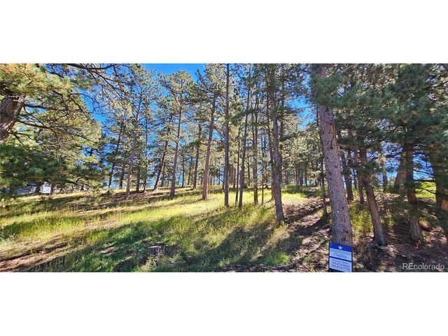 363 Interlocken Ct, Evergreen, CO 80439