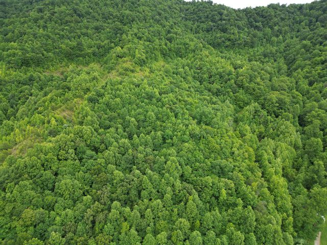 9999 King Fork Road, Barbourville, KY 40906