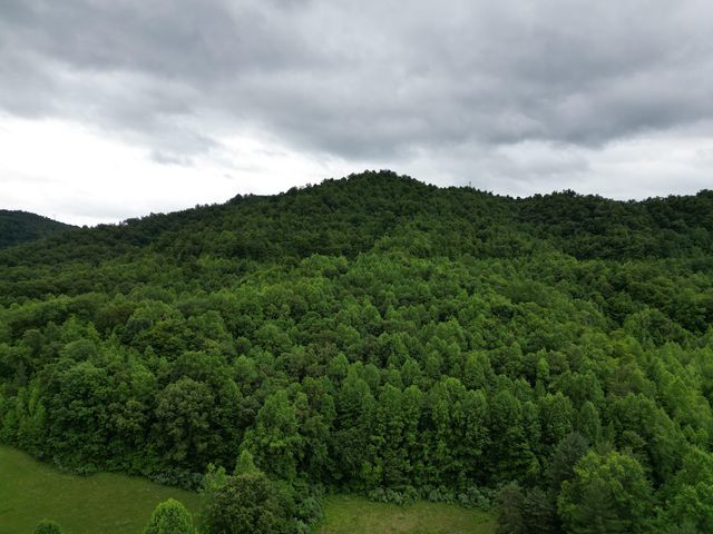 9999 King Fork Road, Barbourville, KY 40906