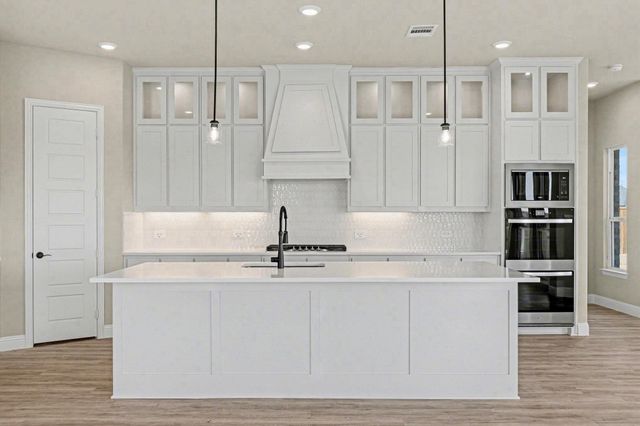281 Hanging Garden Drive, Prosper, TX 75078