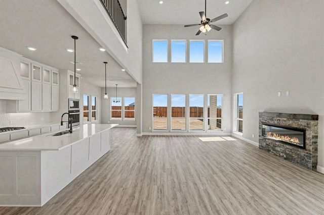 281 Hanging Garden Drive, Prosper, TX 75078