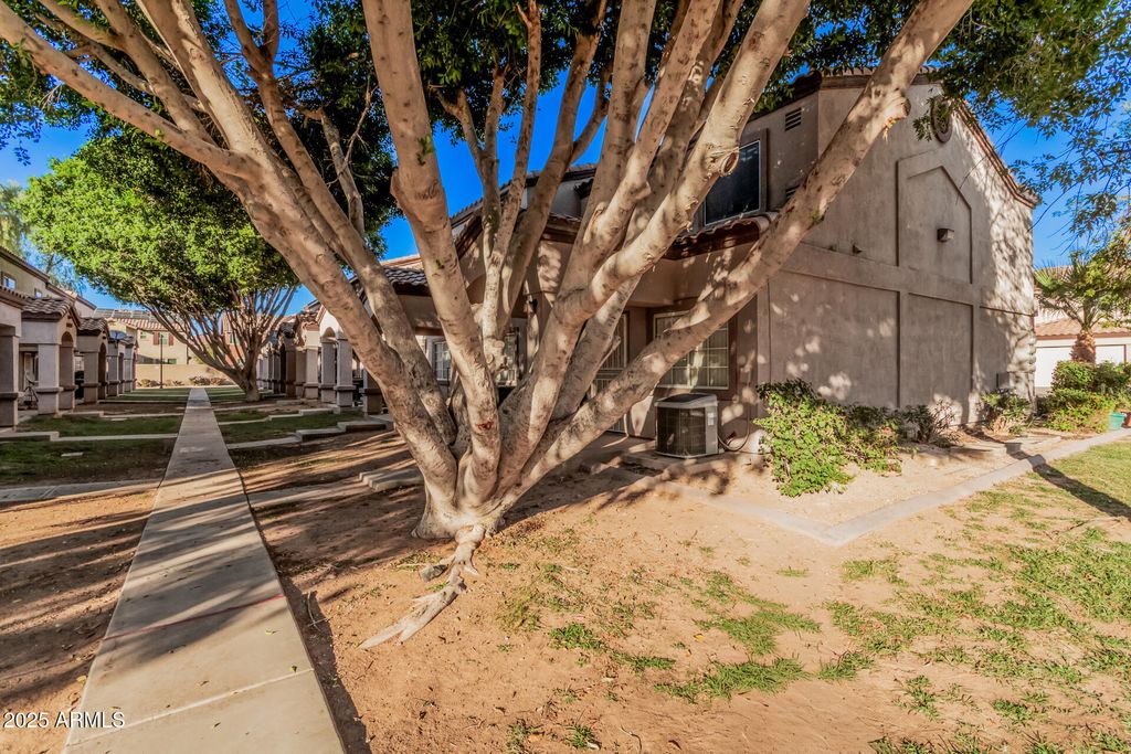 125 S 56TH Street 115, Mesa, AZ 85206 — photo 3