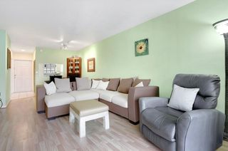 2050 NE 39th Street N313, Lighthouse Point, FL 33064