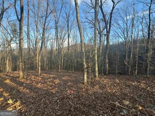 LOT 55 Teel Mtn Drive, Cleveland, GA 30528