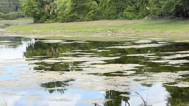 5233 DOVE TREE STREET, Orlando, FL 32811