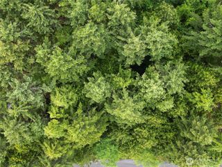41 Pacific Lane #18, Pacific Beach, WA 98571