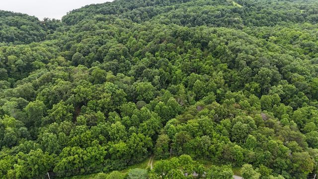 0 Fortunato Drive, Baneberry, TN 37890