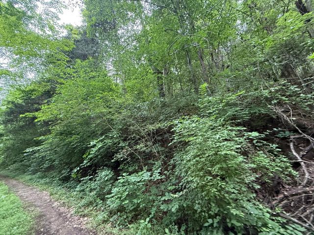 0 Fortunato Drive, Baneberry, TN 37890