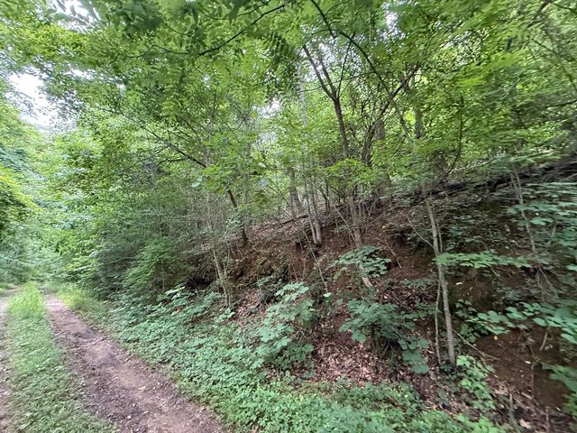 0 Fortunato Drive, Baneberry, TN 37890
