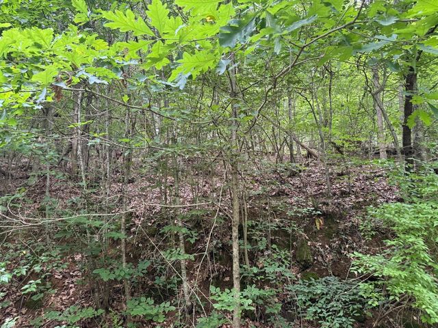 0 Fortunato Drive, Baneberry, TN 37890