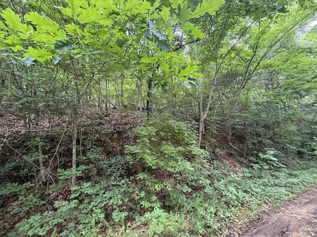 0 Fortunato Drive, Baneberry, TN 37890
