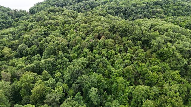 0 Fortunato Drive, Baneberry, TN 37890