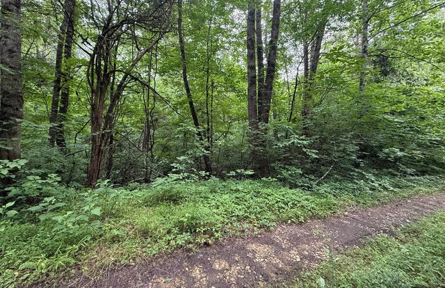 0 Fortunato Drive, Baneberry, TN 37890