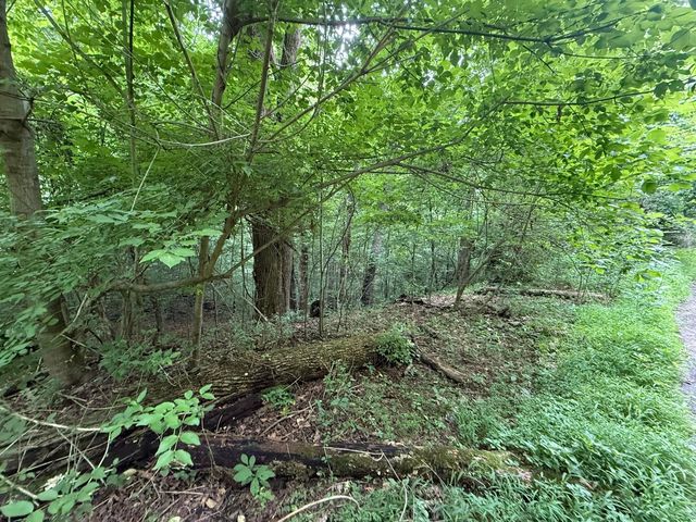 0 Fortunato Drive, Baneberry, TN 37890