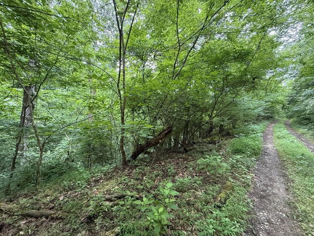 0 Fortunato Drive, Baneberry, TN 37890