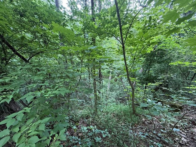 0 Fortunato Drive, Baneberry, TN 37890