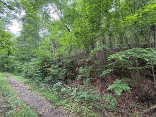 0 Fortunato Drive, Baneberry, TN 37890