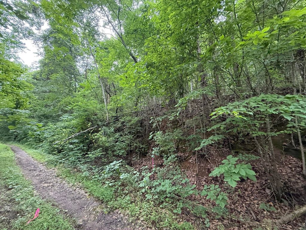 0 Fortunato Drive, Baneberry, TN 37890
