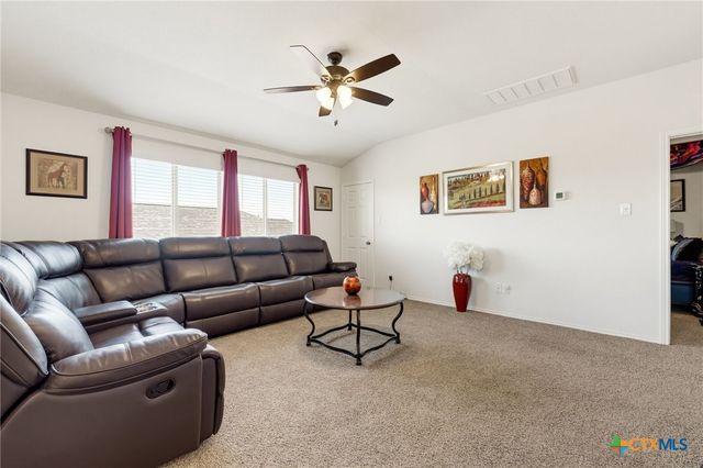 8918 Hidden Oaks Drive, Temple, TX 76502