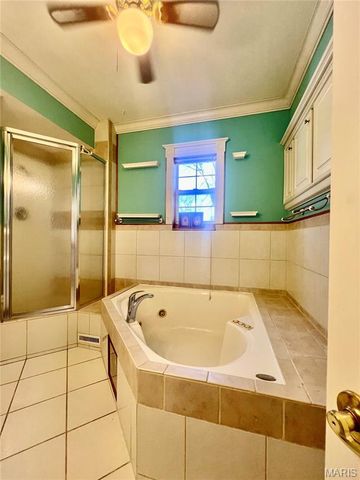 718 State Street Front and Back units, East Carondelet, IL 62240