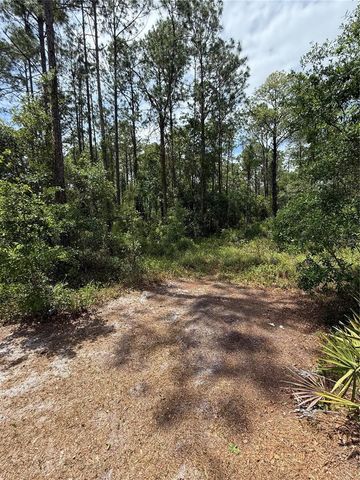 TBD NE 156TH LANE, Fort Mc Coy, FL 32134