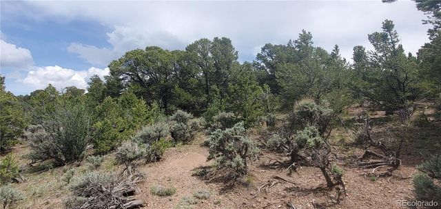 Lot 7853 Malott Road, Fort Garland, CO 81133