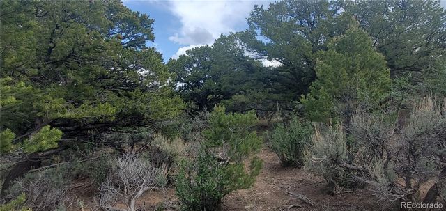 Lot 7853 Malott Road, Fort Garland, CO 81133