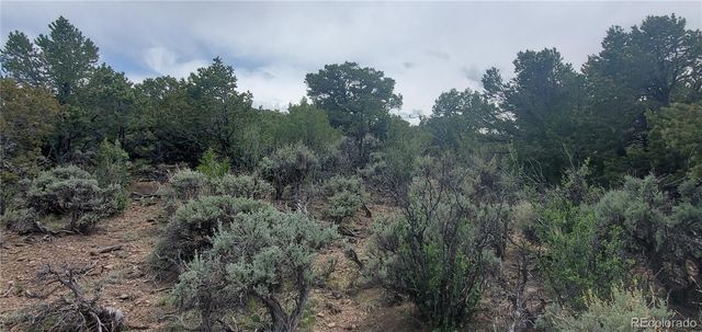 Lot 7853 Malott Road, Fort Garland, CO 81133