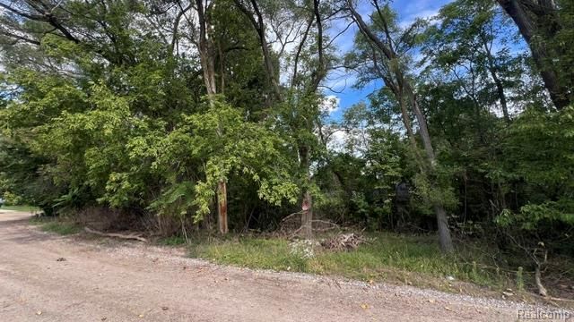 0101 Creston Drive, Hamburg Township, MI 48169