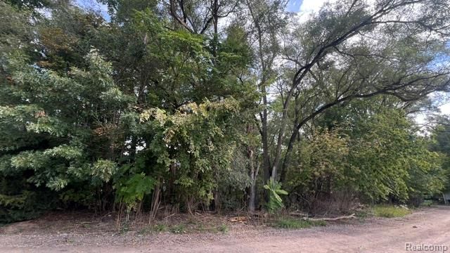 0101 Creston Drive, Hamburg Township, MI 48169