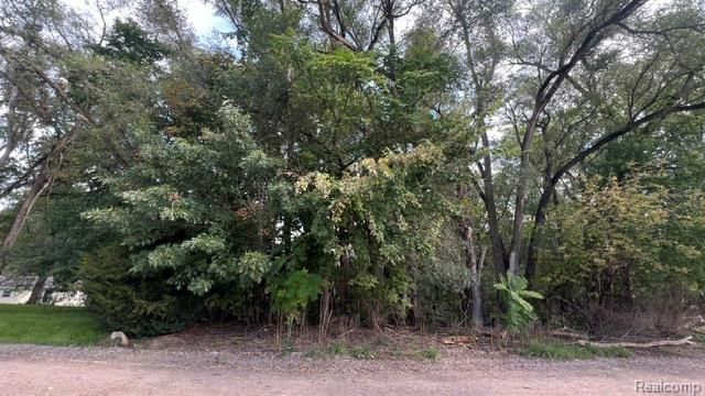 0101 Creston Drive, Hamburg Township, MI 48169