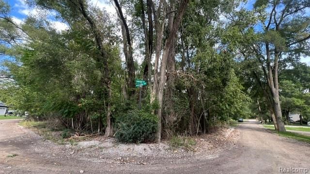 0101 Creston Drive, Hamburg Township, MI 48169