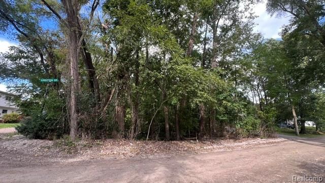0101 Creston Drive, Hamburg Township, MI 48169