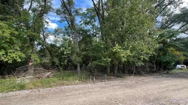 0101 Creston Drive, Hamburg Township, MI 48169