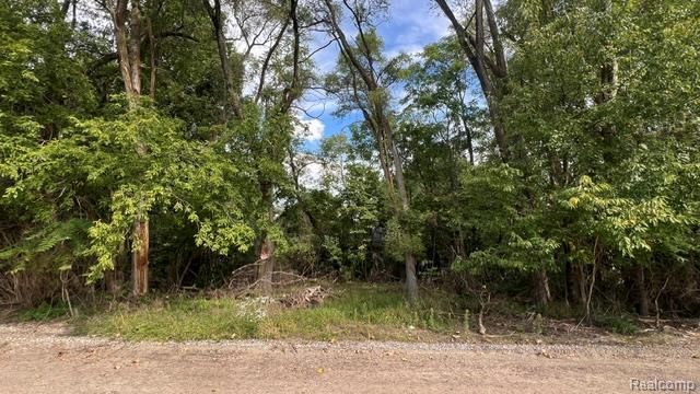 0101 Creston Drive, Hamburg Township, MI 48169