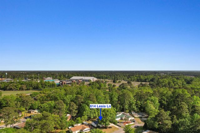 614 Lesia Ln., Conway, SC 29527