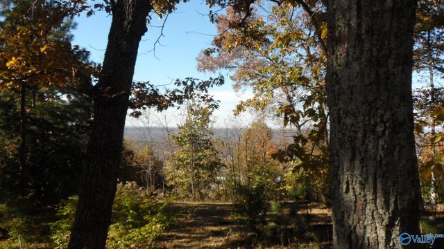 2612 Aberdeen Lane NE, Fort Payne, AL 35967