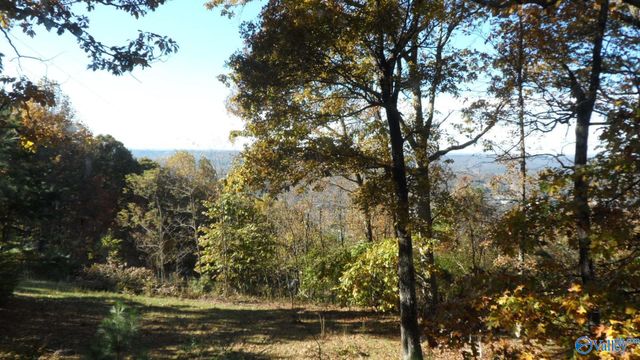 2612 Aberdeen Lane NE, Fort Payne, AL 35967